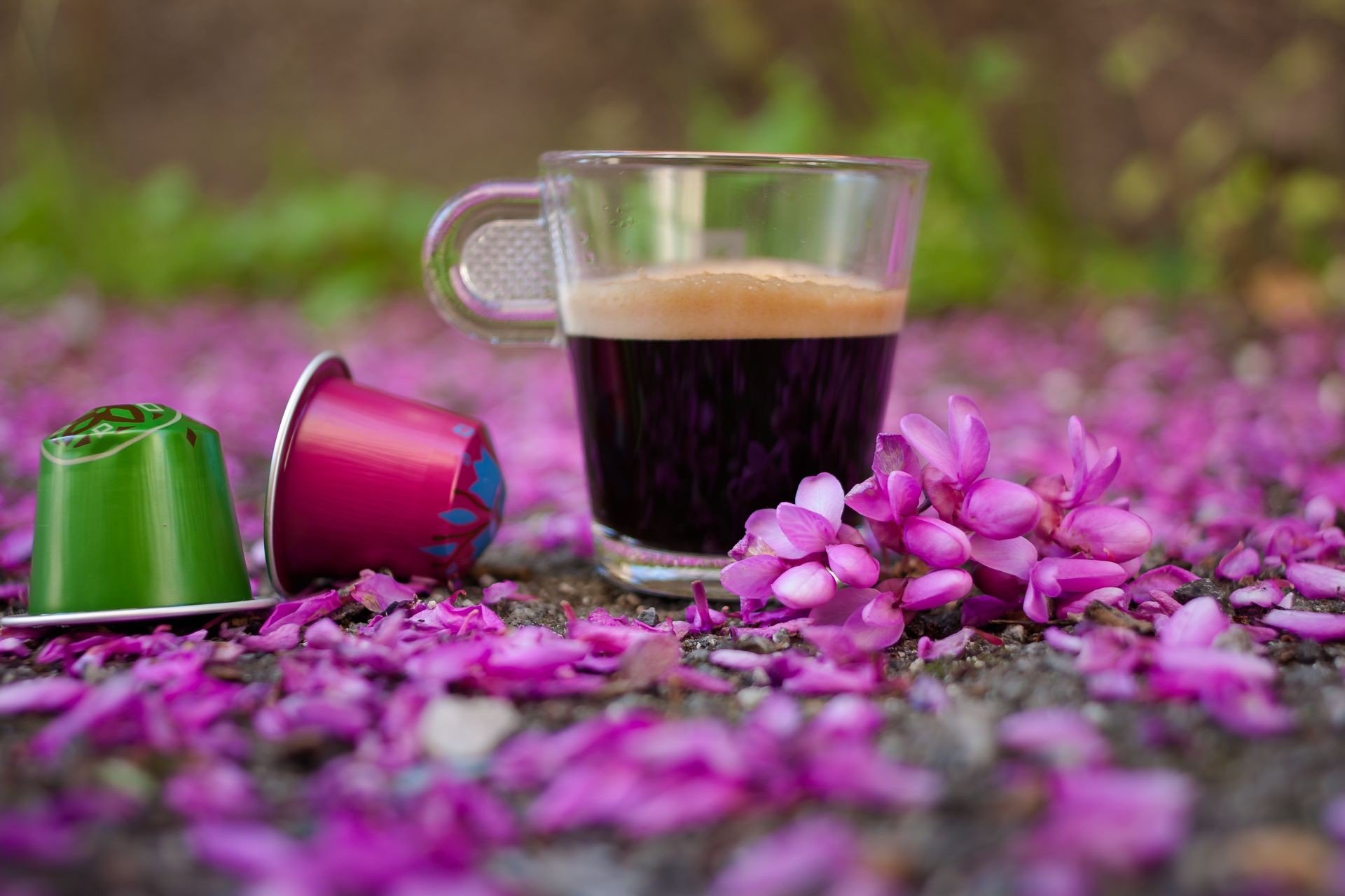 A cup of coffee on the ground covered with pink petals. Green and pink coffee capsules.
